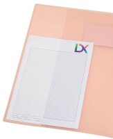 BRUNNEN Schnellhefter FACT!pp Kunststoff rosa pastell transluzent DIN A4, 1 St.