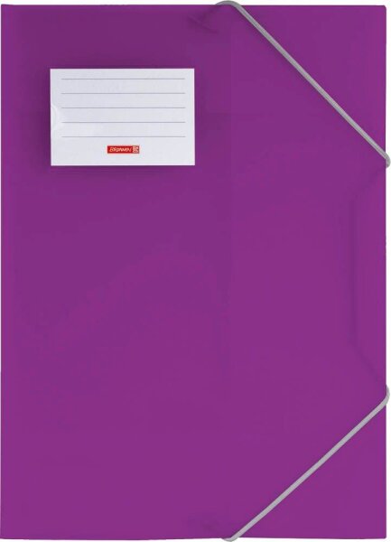 BRUNNEN Sammelmappe FACT!pp DIN A4 purple transparent, 1 St.