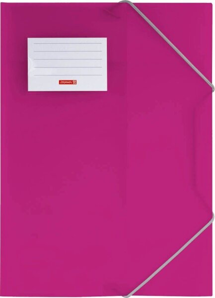 BRUNNEN Sammelmappe FACT!pp DIN A4 pink transparent, 1 St.