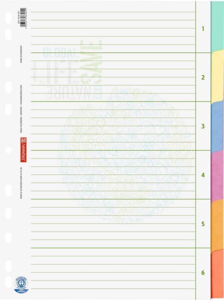 BRUNNEN Ordnerregister Recycling DIN A4 Vollformat blanko beige 6-teilig, 1 Satz