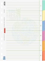BRUNNEN Ordnerregister Recycling DIN A4 Vollformat blanko...