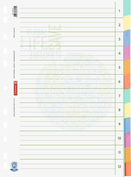 BRUNNEN Ordnerregister Recycling DIN A4 Vollformat blanko beige 12-teilig, 1 Satz