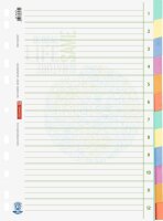 BRUNNEN Ordnerregister Recycling DIN A4 Vollformat blanko...