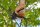 FISKARS® PowerStep™ P83 Gartenschere