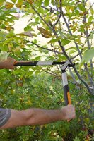 FISKARS® PowerGear™ X LX92-S Astschere