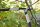 FISKARS® PowerGear™ X LX92-S Astschere
