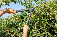 FISKARS® PowerGear™ II L72 Astschere