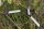 FISKARS® PowerGear™ X LX94-M Astschere