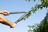 FISKARS® PowerGear™ II L76 Astschere