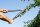 FISKARS® PowerGear™ II L76 Astschere