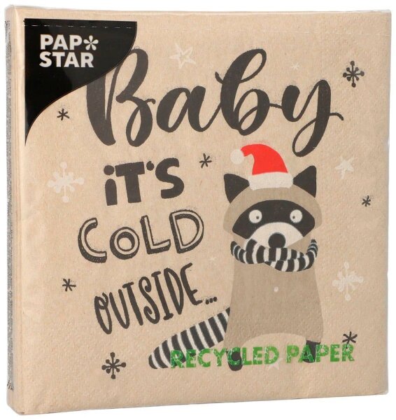 PAPSTAR Servietten It´s cold outside 20 St.  ( 89363 )