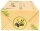 pandoo Toilettenpapier 3-lagig Bambus, 8 Rollen
