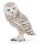 papo Wildtiere der Welt 50167 Schnee-Eule Spielfigur