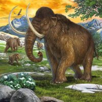 Ravensburger Herrscher der Urzeit Puzzle, 3 x 49 Teile