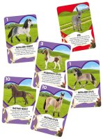 Schmidt Schleich Horse Club - Pferde Paare Kartenspiel, 1...