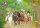 Schmidt Schleich Horse Club - Pferde Paare Kartenspiel, 1 St.