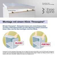 HAMMERBACHER Regalschrank FlexWall, VFW38K1KG/G/R/BS...