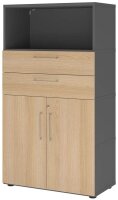 HAMMERBACHER Regalschrank FlexWall, VFW48K2KG/G/E/BS...