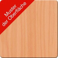 HAMMERBACHER Aktenschrank 4550, V4550/G/6/BM grafit, buche 2 Fachböden 80,0 x 34,6 x 114,4 cm