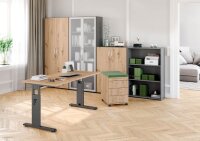 HAMMERBACHER Aktenschrank 4550, V4550/G/R/BM grafit, asteiche 2 Fachböden 80,0 x 34,6 x 114,4 cm