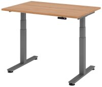 HAMMERBACHER XDSM12 elektrisch höhenverstellbarer...