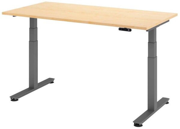 HAMMERBACHER XDSM16 elektrisch höhenverstellbarer Schreibtisch ahorn rechteckig, T-Fuß-Gestell grau 160,0 x 80,0 cm