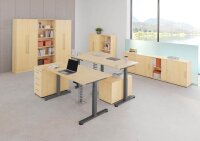 HAMMERBACHER XDSM16 elektrisch höhenverstellbarer Schreibtisch ahorn rechteckig, T-Fuß-Gestell grau 160,0 x 80,0 cm