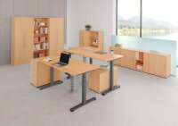 HAMMERBACHER XDSM12 elektrisch höhenverstellbarer Schreibtisch buche rechteckig, T-Fuß-Gestell grau 120,0 x 80,0 cm