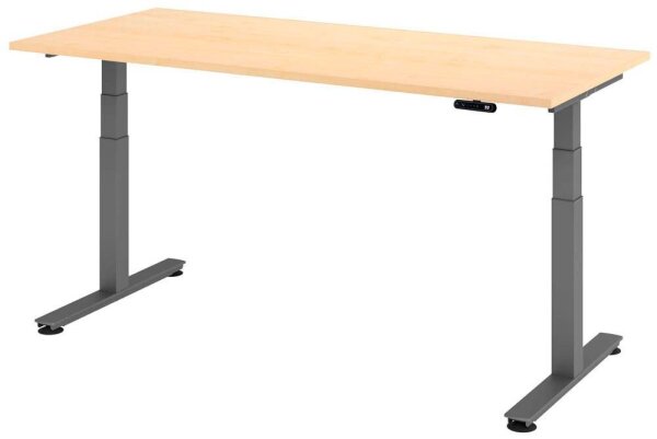 HAMMERBACHER XDSM19 elektrisch höhenverstellbarer Schreibtisch ahorn rechteckig, T-Fuß-Gestell grau 180,0 x 80,0 cm
