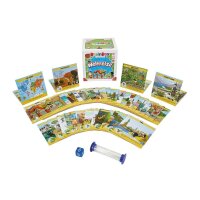 Carletto BrainBox Weltreise Geschicklichkeitsspiel, 1 St.