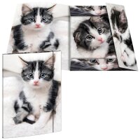 RNK-Verlag Zeichenmappe DIN A3 Katze, 1 St.