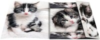 RNK-Verlag Zeichenmappe DIN A3 Katze, 1 St.