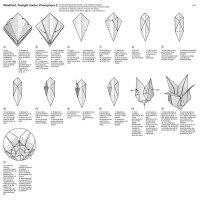 folia Transparentpapier Lichterpapier 30,0 x 30,0 cm 80 g/qm, 12 St.