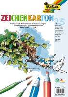 folia Tonpapier Zeichenkarton weiß 120 g/qm 25 Blatt