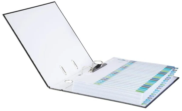 DURABLE Ordnerregister DIN A4 Überbreite 1-20 farbig...