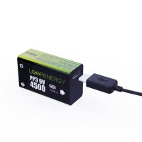 VERICO USB-Akkus mit Ladekabel LoopEnergy PP3 9V Li-Ion E-Block 500 mAh, 2 St.