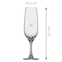 Schott Zwiesel Sektgläser Congresso 100,0 ml, 6 St.
