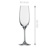 Schott Zwiesel Sektgläser Ivento 228,0 ml, 6 St.