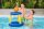 Bestway® Wasser-Basketballkorb mit Ball mehrfarbig