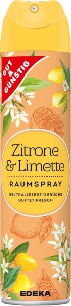GUT&GÜNSTIG Raumspray Citrus 300,0 ml, 1 St.