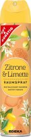 GUT&GÜNSTIG Raumspray Citrus 300,0 ml, 1 St.