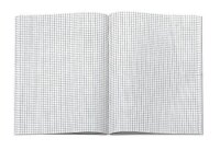 Ursus® Geschäftsbuch ca. DIN A5 kariert, rot Hardcover 192 Seiten, 1 St.