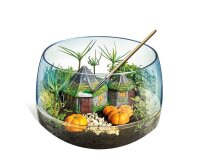 Clementoni Experimentierkasten Harry Potter - Terrarium mehrfarbig