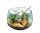 Clementoni Experimentierkasten Harry Potter - Terrarium mehrfarbig