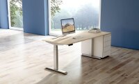Kerkmann Move 4 elektrisch höhenverstellbarer Schreibtisch ahorn rechteckig, T-Fuß-Gestell silber 120,0 x 80,0 cm