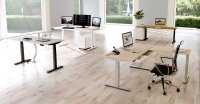 Kerkmann Move 4 elektrisch höhenverstellbarer Schreibtisch eiche rechteckig, T-Fuß-Gestell grau 120,0 x 80,0 cm