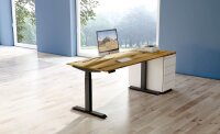 Kerkmann Move 4 elektrisch höhenverstellbarer Schreibtisch eiche rechteckig, T-Fuß-Gestell grau 120,0 x 80,0 cm