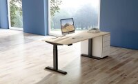 Kerkmann Move 4 elektrisch höhenverstellbarer Schreibtisch ahorn rechteckig, T-Fuß-Gestell grau 120,0 x 80,0 cm