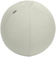 LEITZ Ergo Active Sitzball hellgrau 75,0 cm