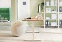 LEITZ Ergo Active Sitzball hellgrau 75,0 cm